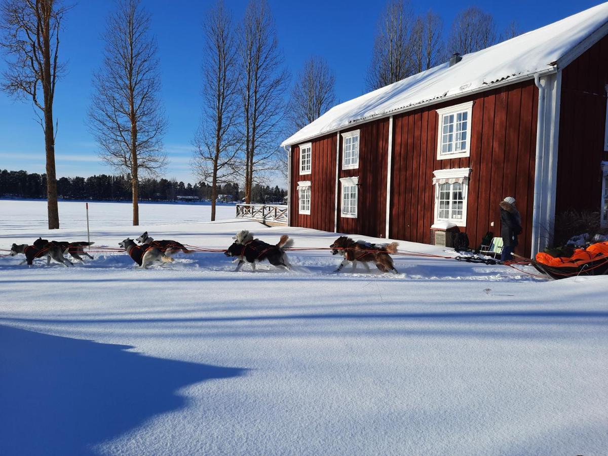 Hotel Camp Route 45 Hammerdal Exterior foto